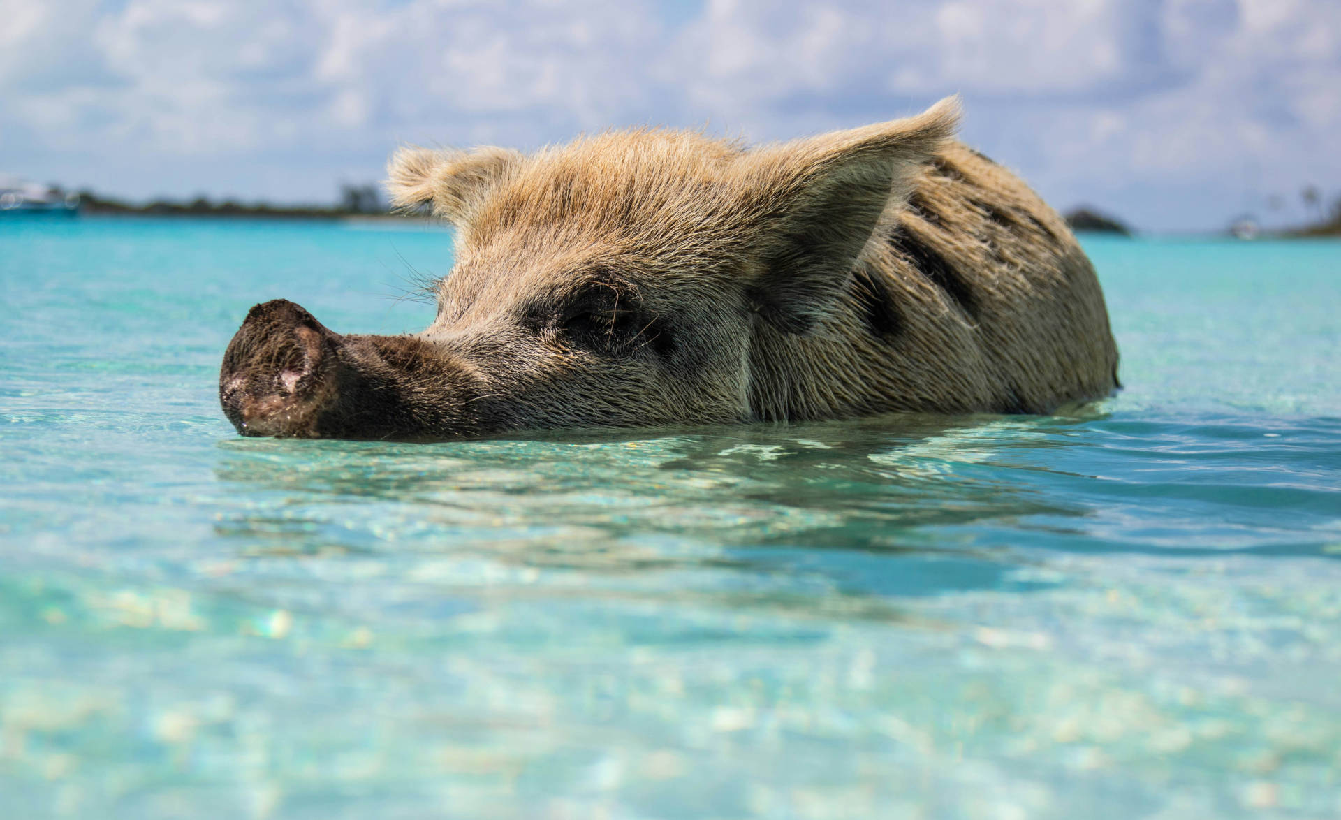 Bahamas