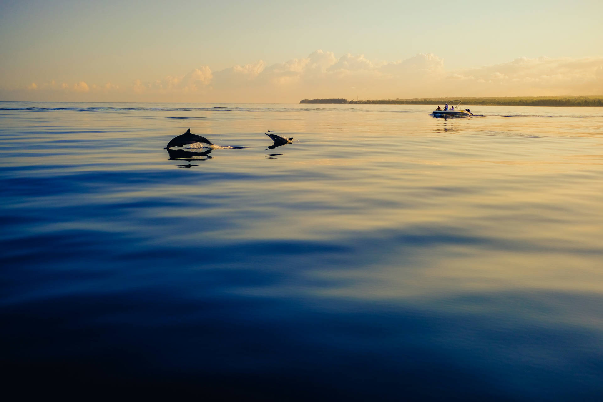 Black River and Tamarin Bay