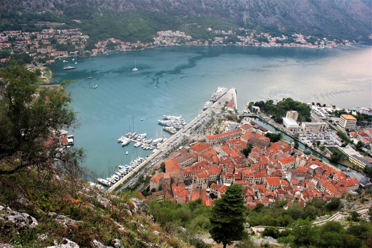 Kotor