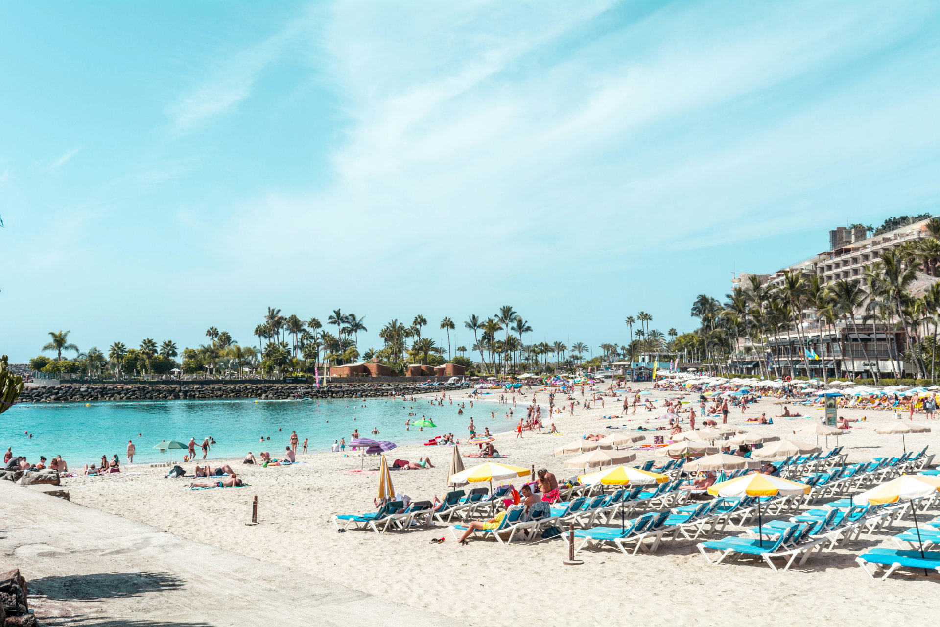 The Canary Islands