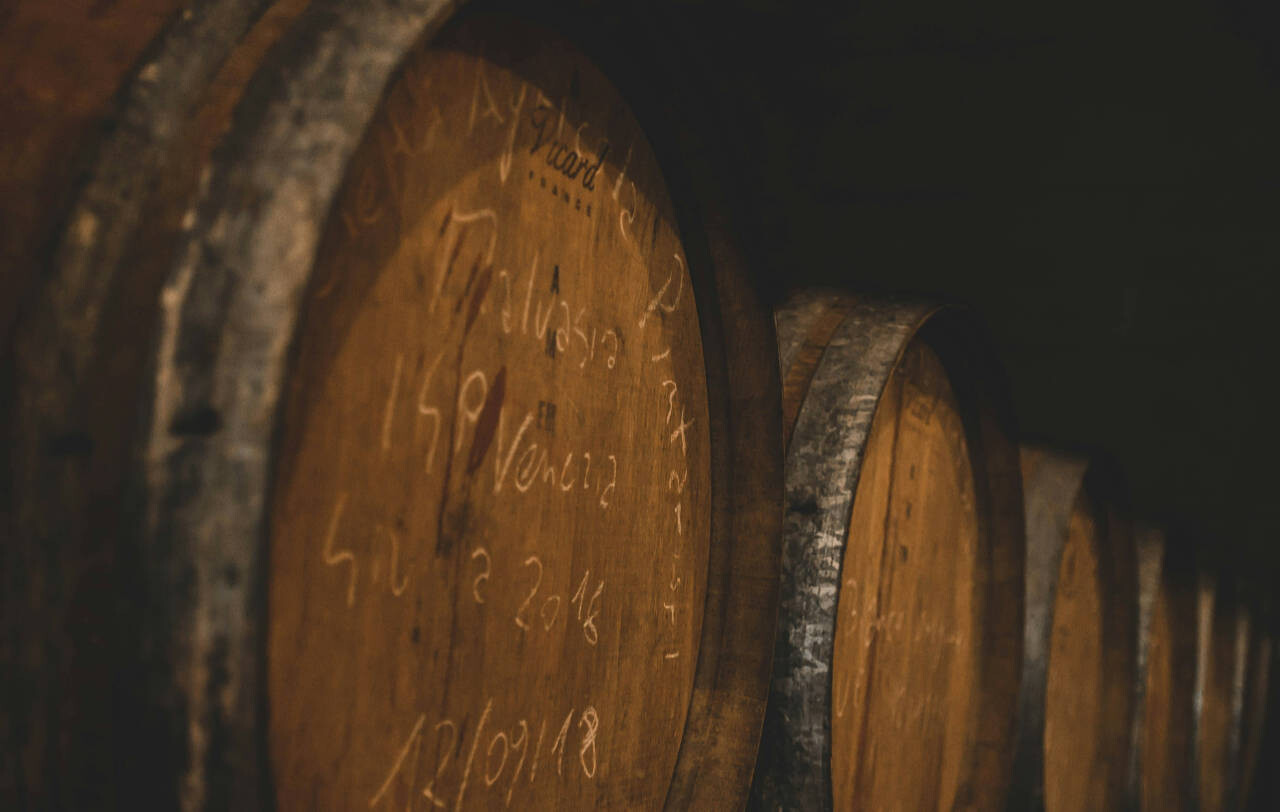 Wine barrels in winery in Slovenia