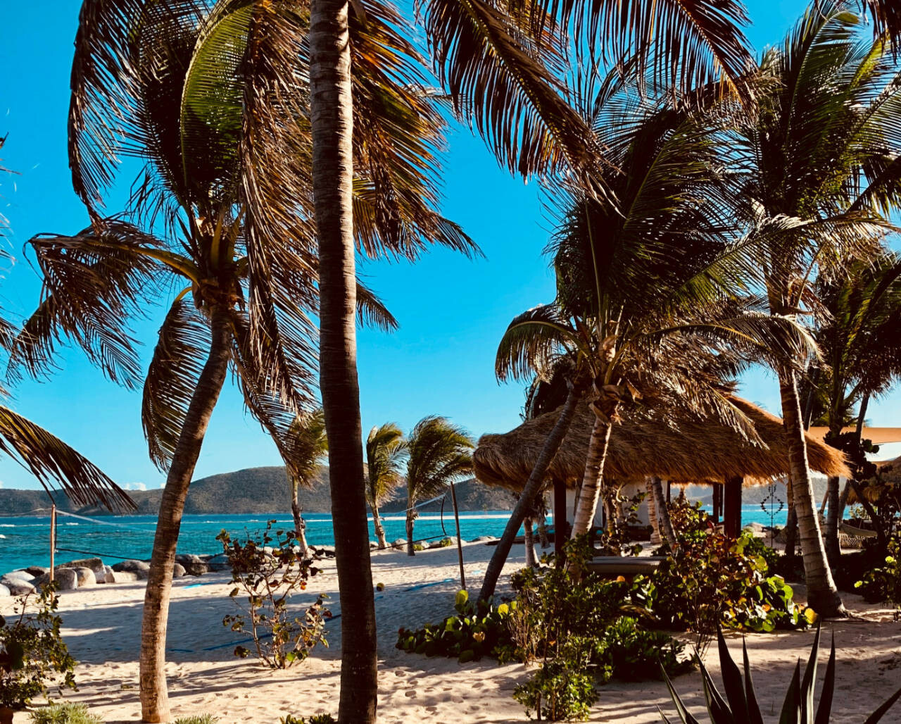 Beach in resort in British Virgin Islands