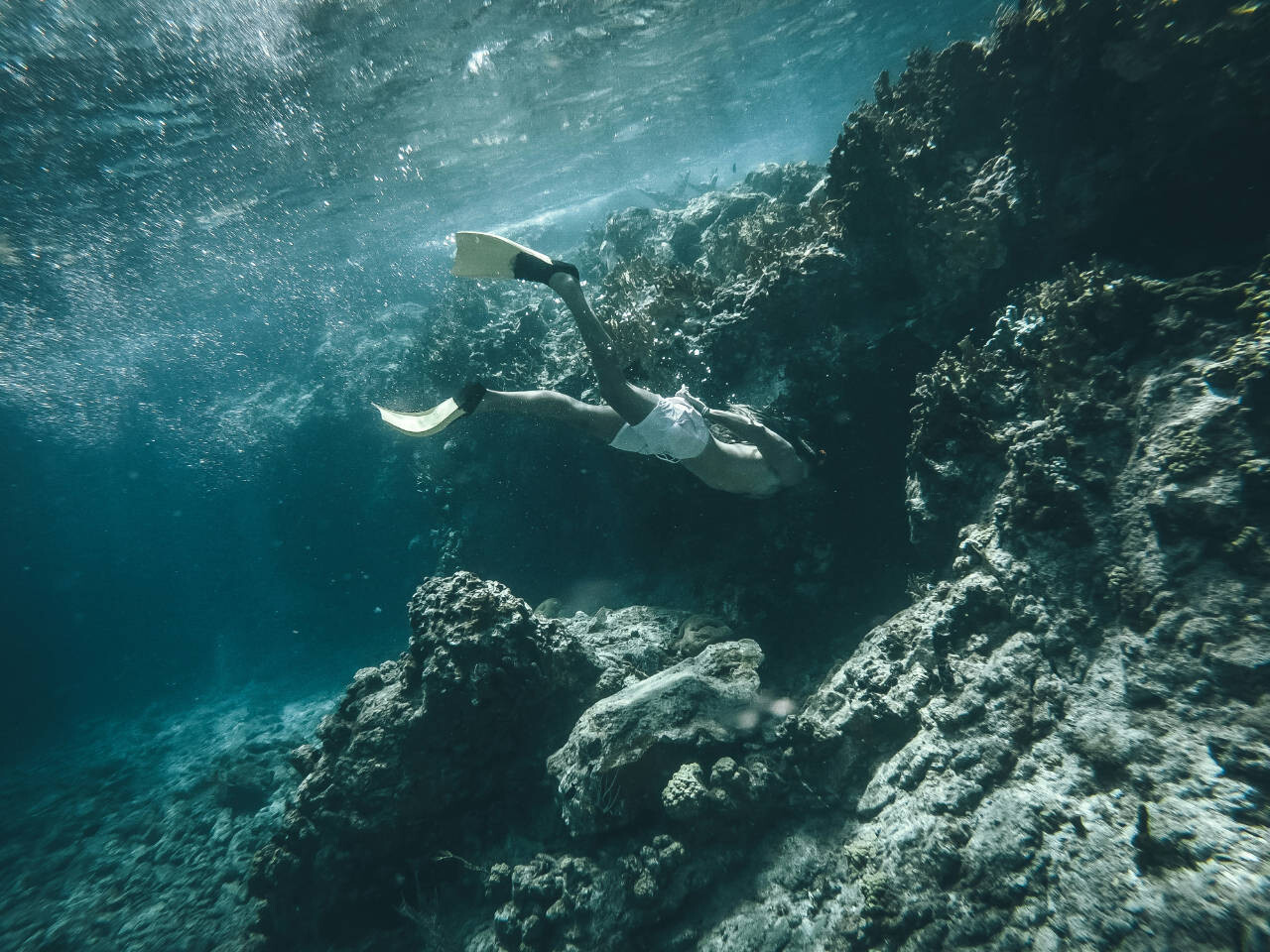 Snorkeling in British Virgin Islands