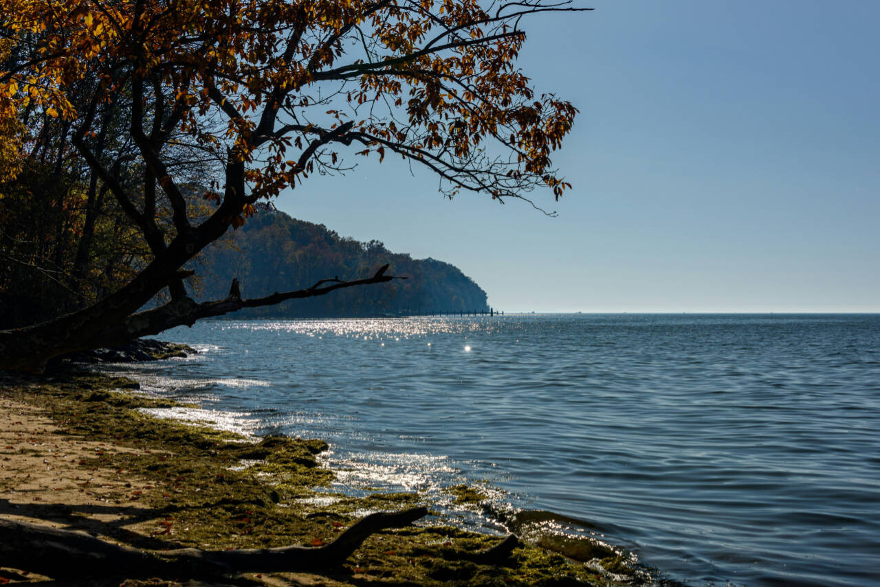 The Chesapeake Bay overlooking the point near Northeast, Maryland