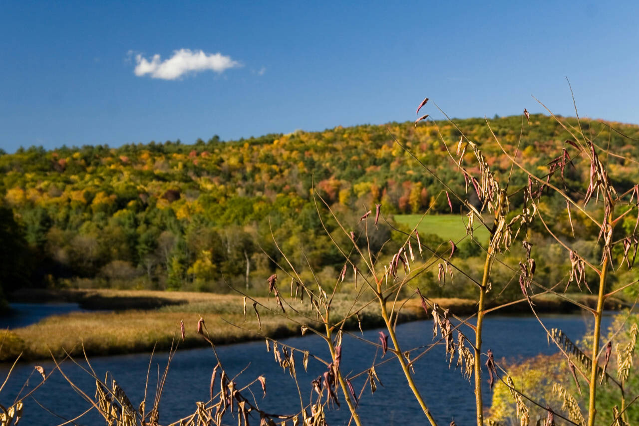 Autumn in Vermont, USA