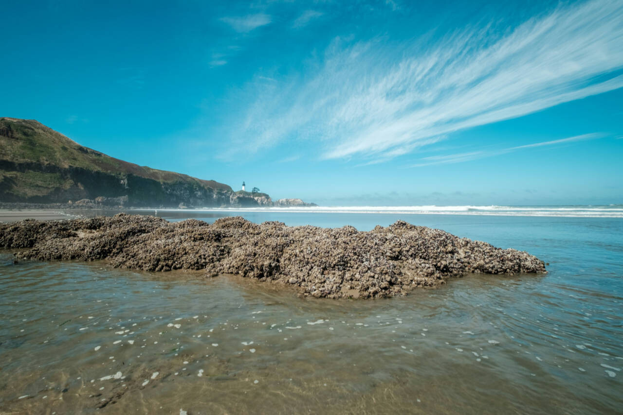 Agate Beach, Newport, USA