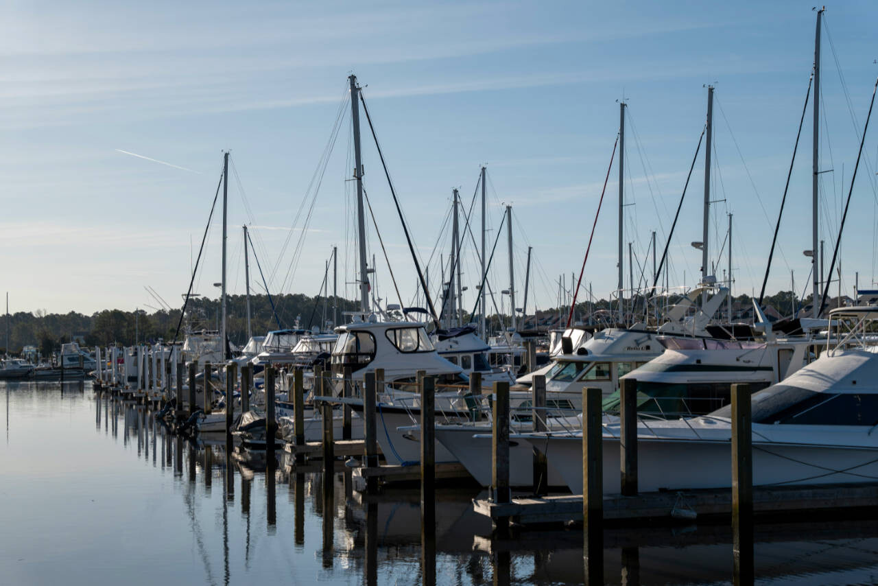 Boats docked at a marina