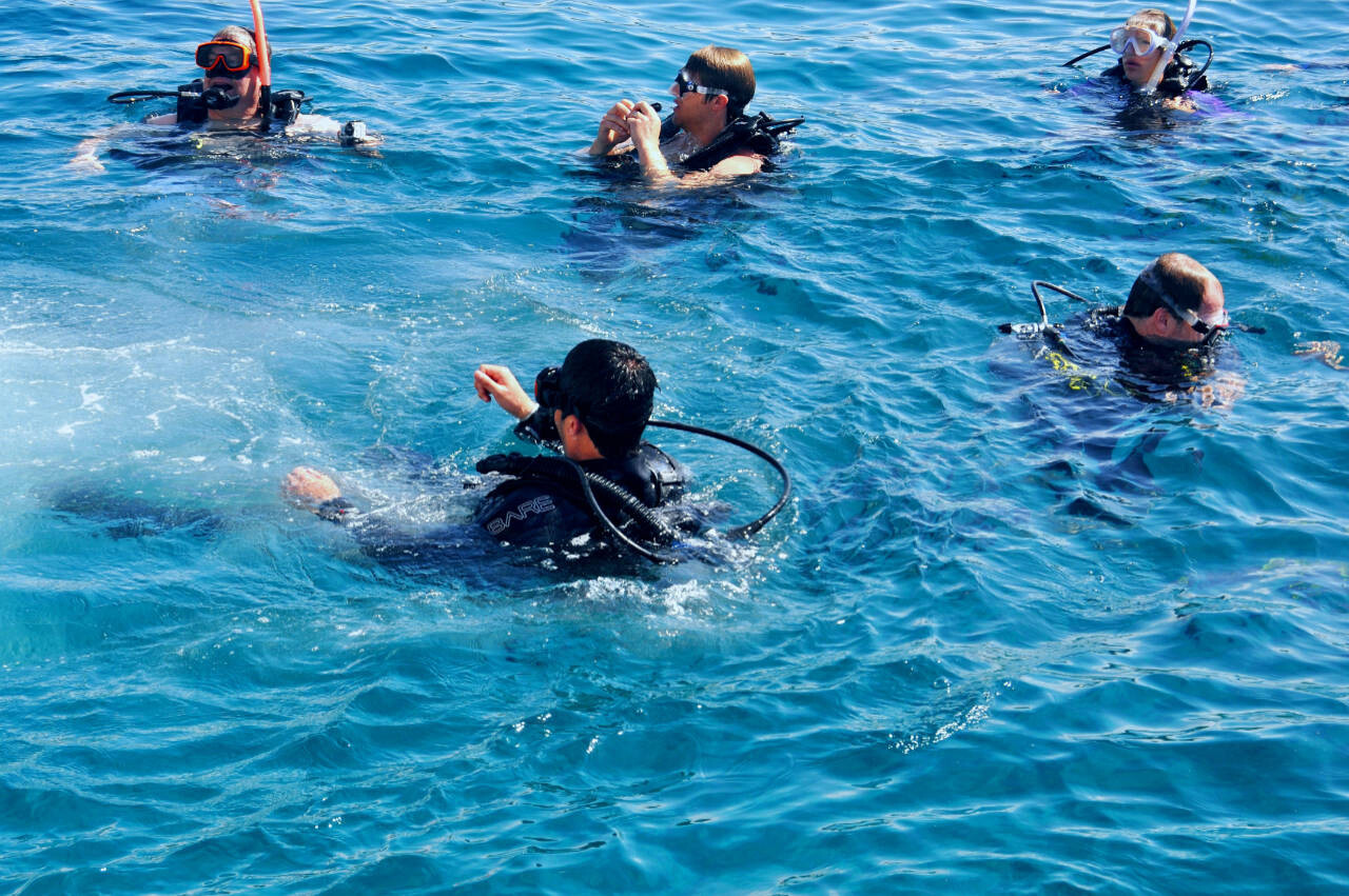 Scuba diving in British Virgin Islands