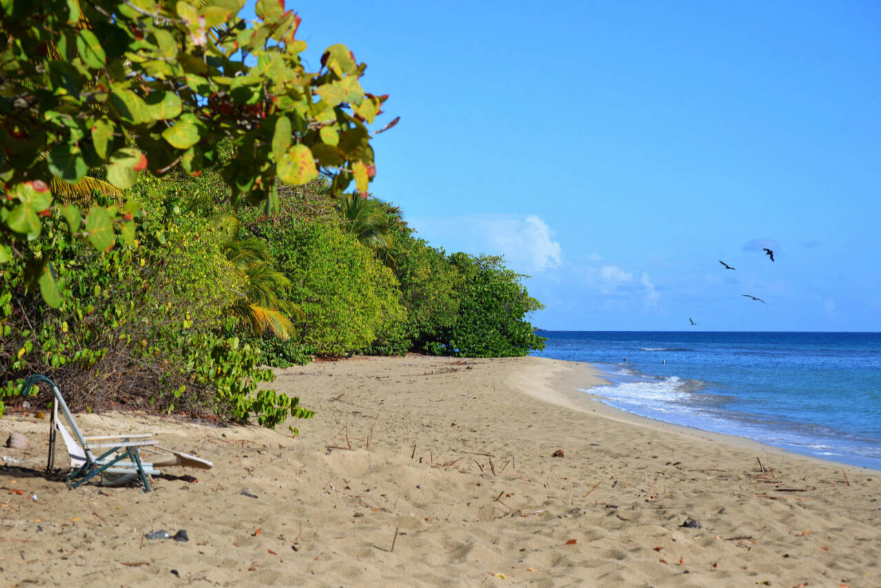 Beach in BVI