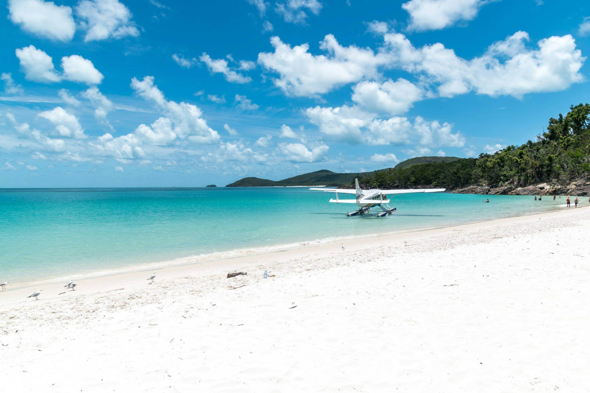 Hamilton Island, Whitsundays QLD, Australia