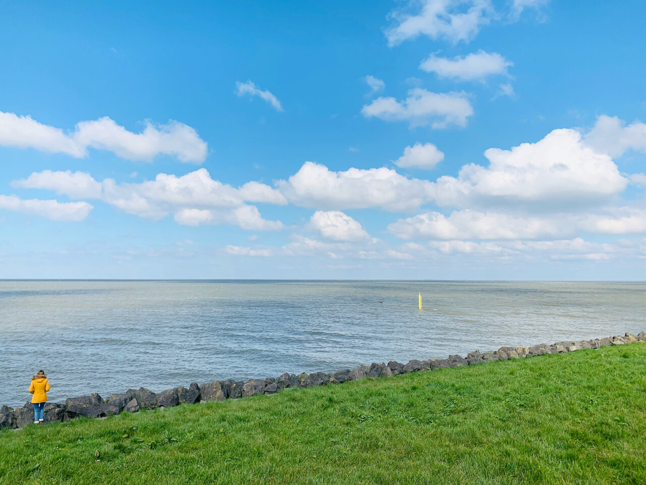 Oostvaardersdijk, Lelystad, Netherlands