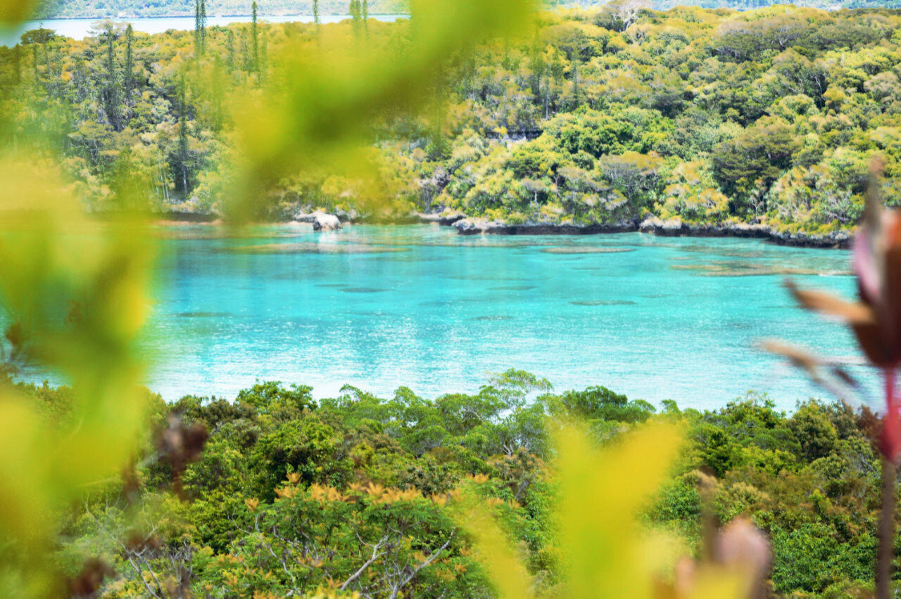 Coral Reef Bay in Lifou, New Caledonia.