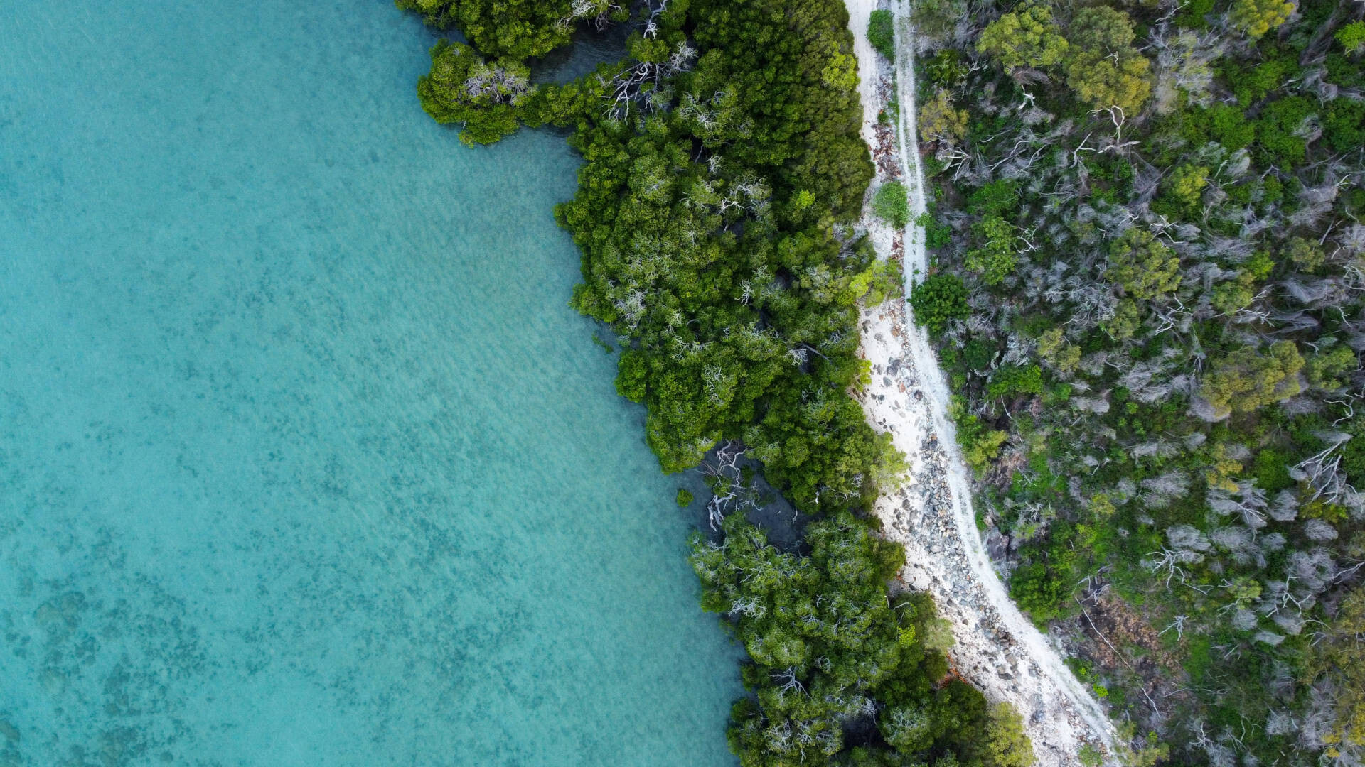 Goolboddi, Orpheus Island, Palm Island QLD, Australia