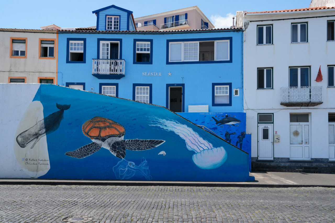 A mural in Horta, Portugal