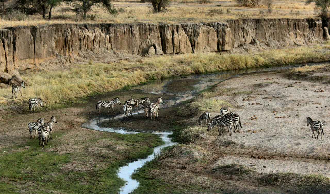 Tarangire National Park, Tanzania