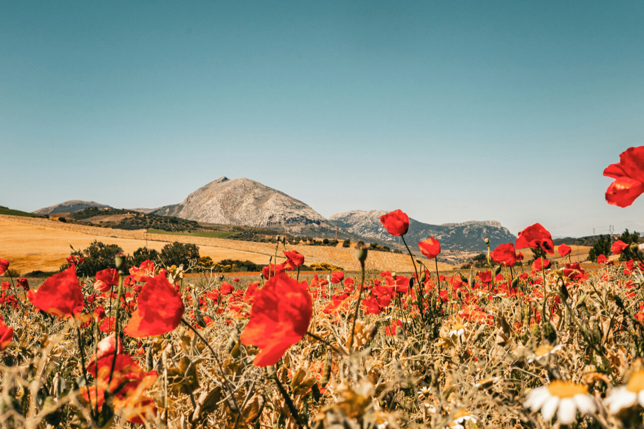 Andalusia in Spain