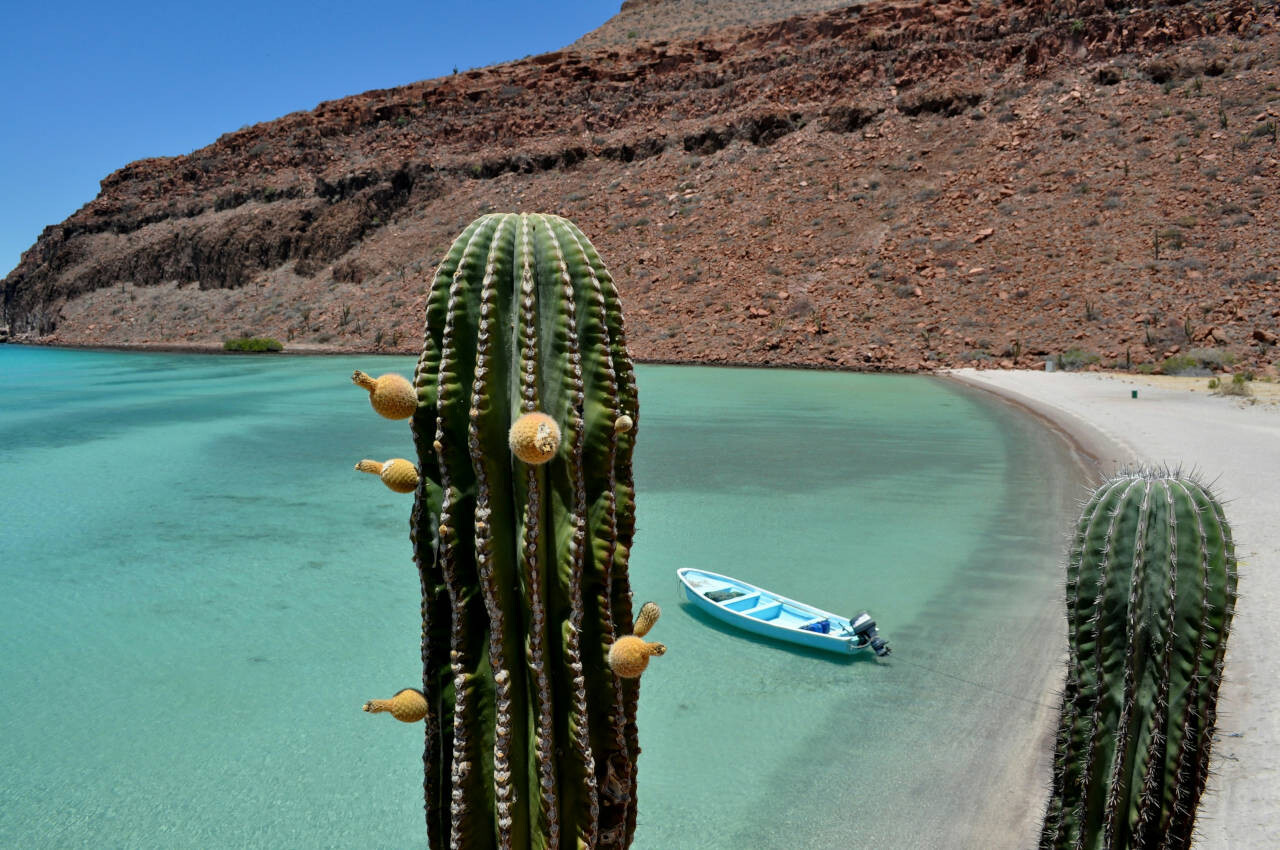 Baja California Sur, Mexico