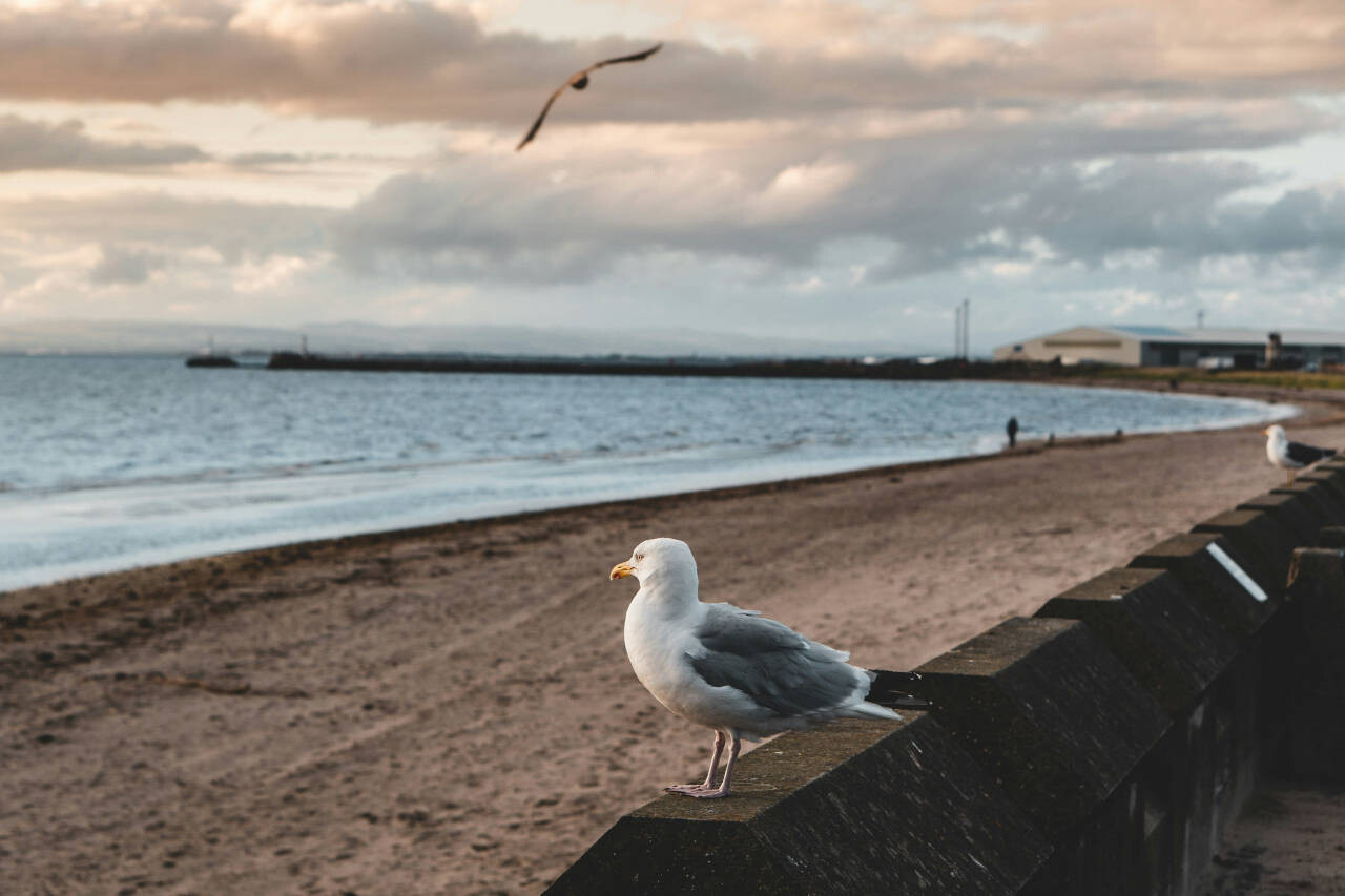 Ayrshire, UK