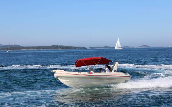 Barracuda 590 Barracuda 590 - 12